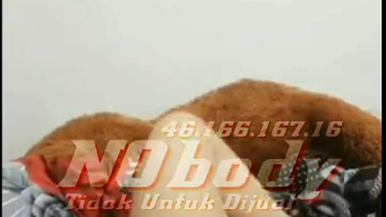 Kaka ipar bugil toket